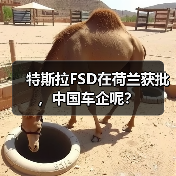 特斯拉FSD在荷兰获批,中国车企呢?(图4) 特斯拉FSD在荷兰获批,中国车企呢?(图4)