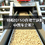 特斯拉FSD在荷兰获批,中国车企呢?(图3) 特斯拉FSD在荷兰获批,中国车企呢?(图3)