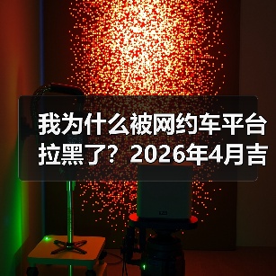 我为什么被网约车平台拉黑了？2026年4月吉利Eva Cab原生Robotaxi首发（图4）