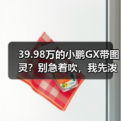 39.98万的小鹏GX带图灵？别急着吹，我先泼盆冷水（图4）
