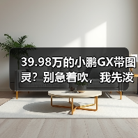 39.98万的小鹏GX带图灵？别急着吹，我先泼盆冷水（图3）