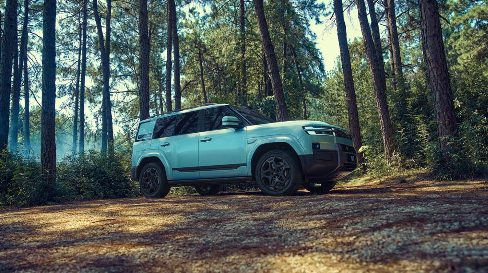 谁提前锁定2025年插混销量TOP10？｜看见2025